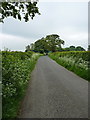 Love Lane - looking north towards Betchton