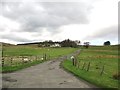 A cattle grid at the entrance to Pencloe