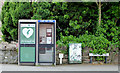 J4551 : Defibrillator telephone box, Crossgar by Albert Bridge