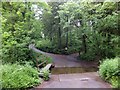 Ford and footbridge in Affeton Wood