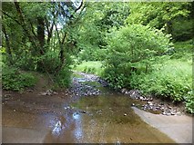 SS7413 : Stream and ford in Affeton Wood by David Smith