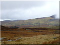 West of Moel y Garth