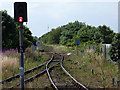 Railway leaving Saltburn