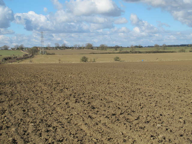 Farmland east of Cobbler's Lane