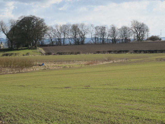 Farmland and woodland north of Old Nafferton