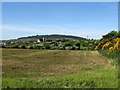 View south-westwards across a harvested hay field from the Old Road