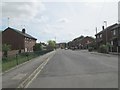 Sandon Mount - viewed from Sandon Place