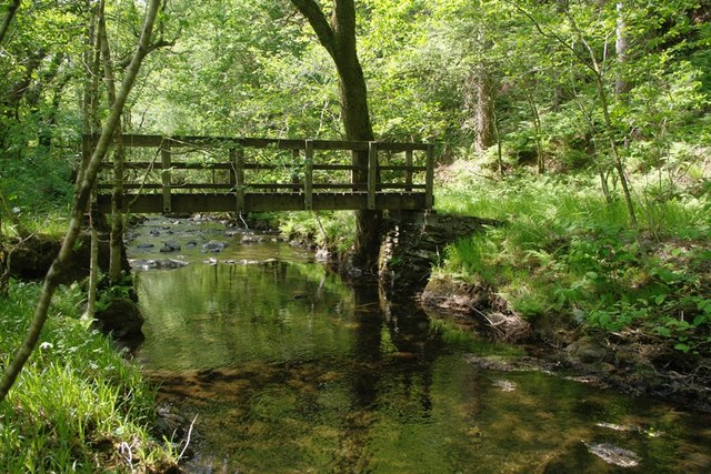 Footbridge in the Llyfnant valley