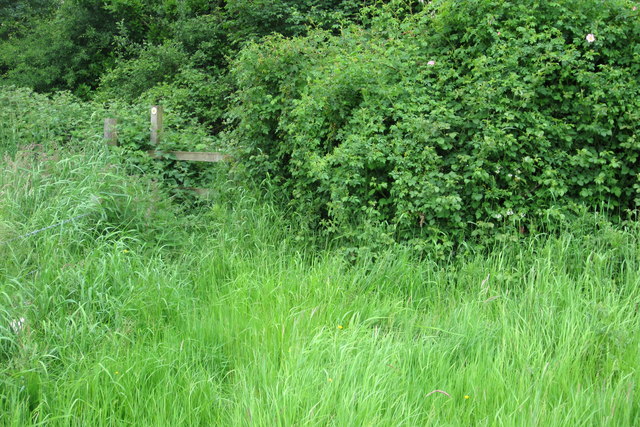 Overgrown path by Ash Farm