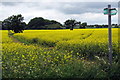 Footpath to Stewkley