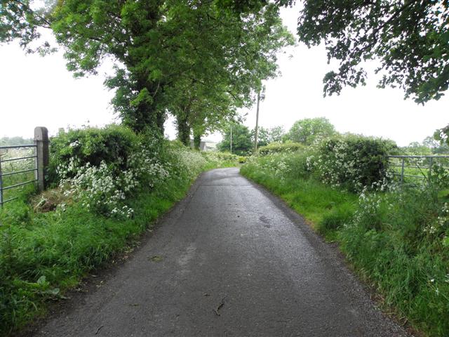 Tormore Road, Arvalee