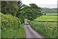 North Somerset : Winters Lane