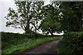 North Somerset : Winters Lane