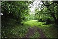 North Somerset : Grassy Path