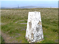 SD9913 : Moss Moor Trig Pillar, White Hill by David Dixon