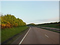 The A30 westbound near Hollycombe Farm