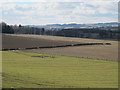 Farmland north of Whittington Hill