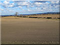 NZ0564 : Farmland west of Overdene by Mike Quinn