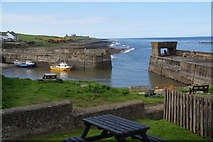 NU2519 : Craster harbour from the beer garden of the Jolly Fisherman by Bill Boaden