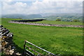 Field and walls above the Lowther valley