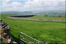 NY5318 : Field and walls above the Lowther valley by Bill Boaden