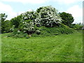 Castle Motte at Stapleton