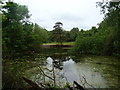 View of a path on the other side of the lake from Wanstead Park