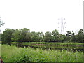 View of the Roding and a pylon from the path in Wanstead Park