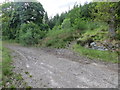 NH2661 : The old A832 and entrance to forest track near Achanalt by John Ferguson