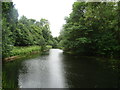 View of a lake in Wanstead Park #10