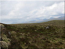 NH2759 : Moorland above Strath Bran by John Ferguson