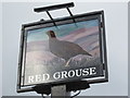 The Red Grouse