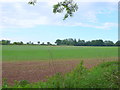 SP3373 : Field at Stoneleigh Grange by Nigel Mykura