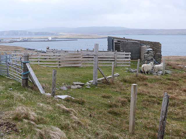 Livestock pens and hut at Grimsetter