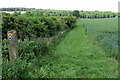 Footpath to Beckeringspark Moor