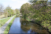 NT1770 : Union Canal from Hermiston Bridge by Anne Burgess