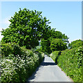 Lane near Carreg Pumsaint