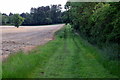 Bridleway to the Flitwick Plantation