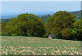 View north across Charnwood Forest