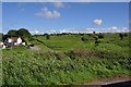 Felton : Felton Common