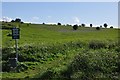 Felton : Felton Common