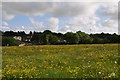 North Somerset : Grassy Field