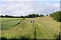 The Chiltern Way to Hailey