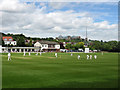 TQ2989 : Cricket at Hornsey by Jim Osley