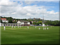 Cricket at Hornsey