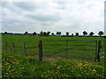 Bridleway back to Woodhouse Farm