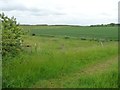 Farmland south of Aerodrome Farm