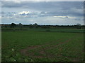 Crop field south of Eagle