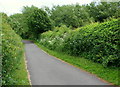 Bleak Hills Lane, Mansfield, Notts.