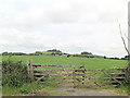 Pasture land west of Wittenham Clumps